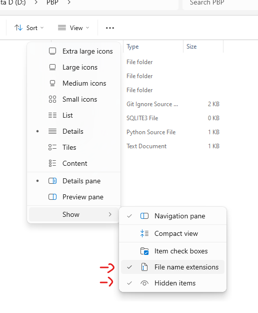 file extension